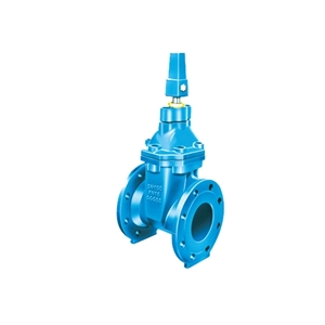 Gate Valve