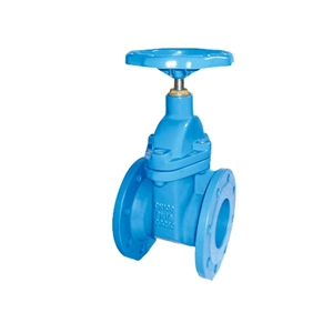 Gate Valve