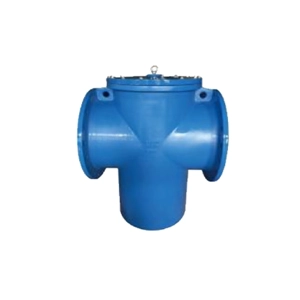 Y Strainer