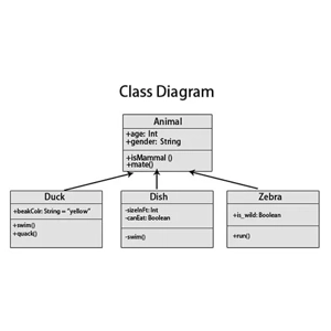 Software & Systems Engineering Service