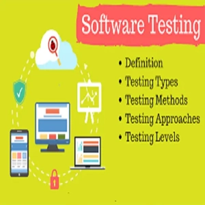 Software & Systems Engineering Service