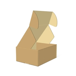Corrugated Carton