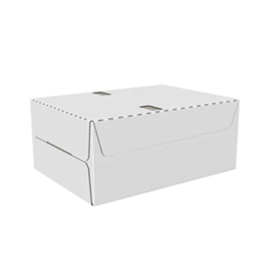 Corrugated Carton