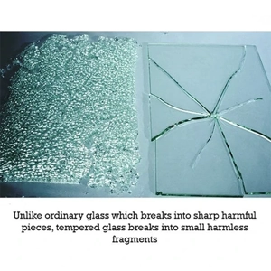 Tempered Glass