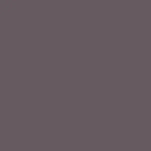 Paint
