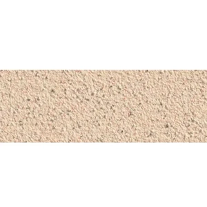 Wall Plaster