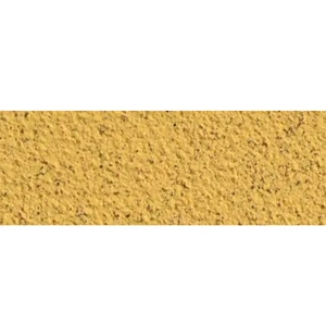 Wall Plaster