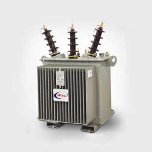 Distribution Power Transformer