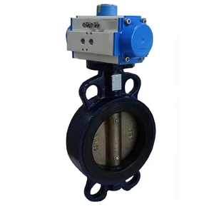 Butterfly Valve