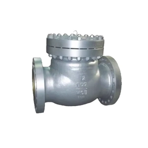 Check Valve