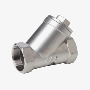 Y Strainer