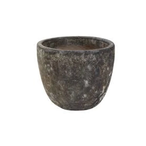 Plant Pot