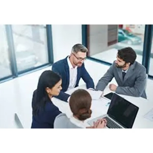 Business Consultation Service