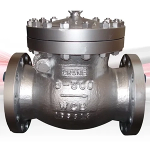 Check Valve