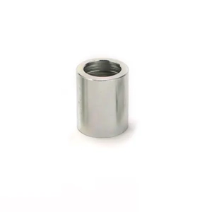Ferrule