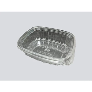 Disposable Food Container