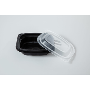 Disposable Food Container