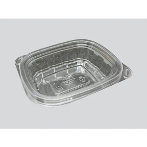 Disposable Food Container