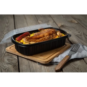 Disposable Food Container