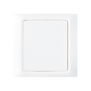Electrical Switch