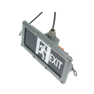 Exit Light