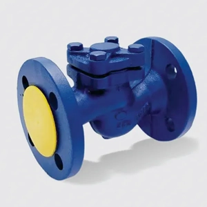 Check Valve