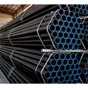 Scaffold Tube