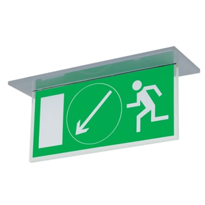 Exit Light