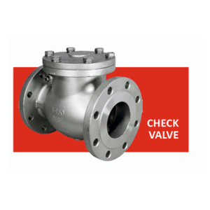 Check Valve