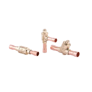 Check Valve