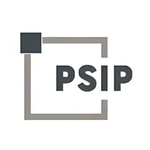 Paints Solvents and Industrial Putty Company LTD