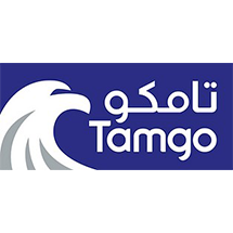 Tamgo The Machinery Group LLC