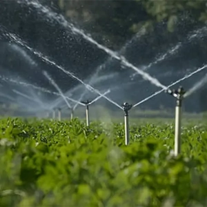 Irrigation Systems &