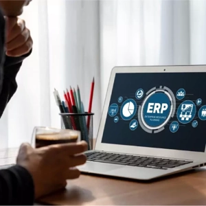 ERP Software Service