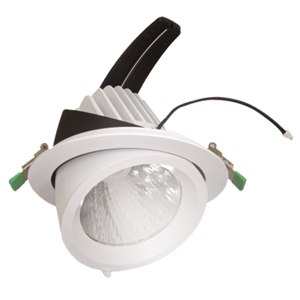 General Purpose Downlight