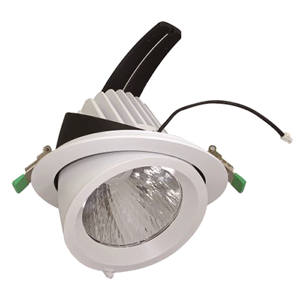 General Purpose Downlight