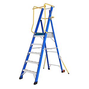 Platform Ladder