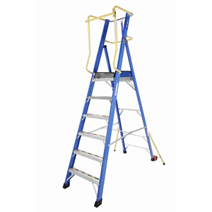 Platform Ladder