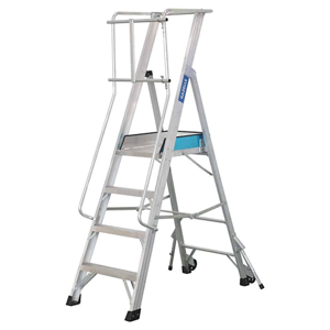 Platform Ladder