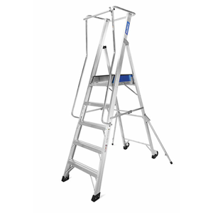 Platform Ladder