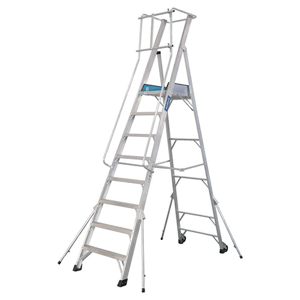 Platform Ladder