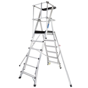 Platform Ladder