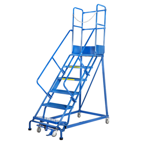 Scaffolding Ladder