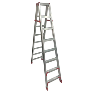 Two Way Ladder