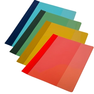 Project File