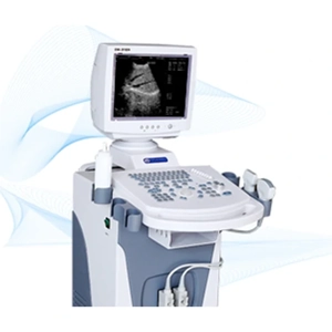 Medical Ultrasound