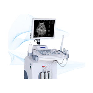 Medical Ultrasound