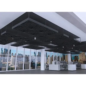 Acoustic Ceiling Tile