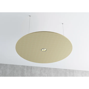 Acoustic Light Fixture