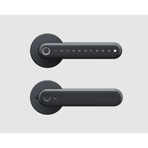 Electric Lock